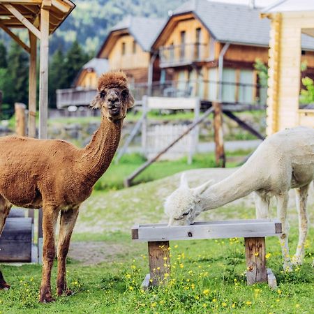 Alpenchalet Alpakablick 장크트 로렌첸 오프 무라우 외부 사진